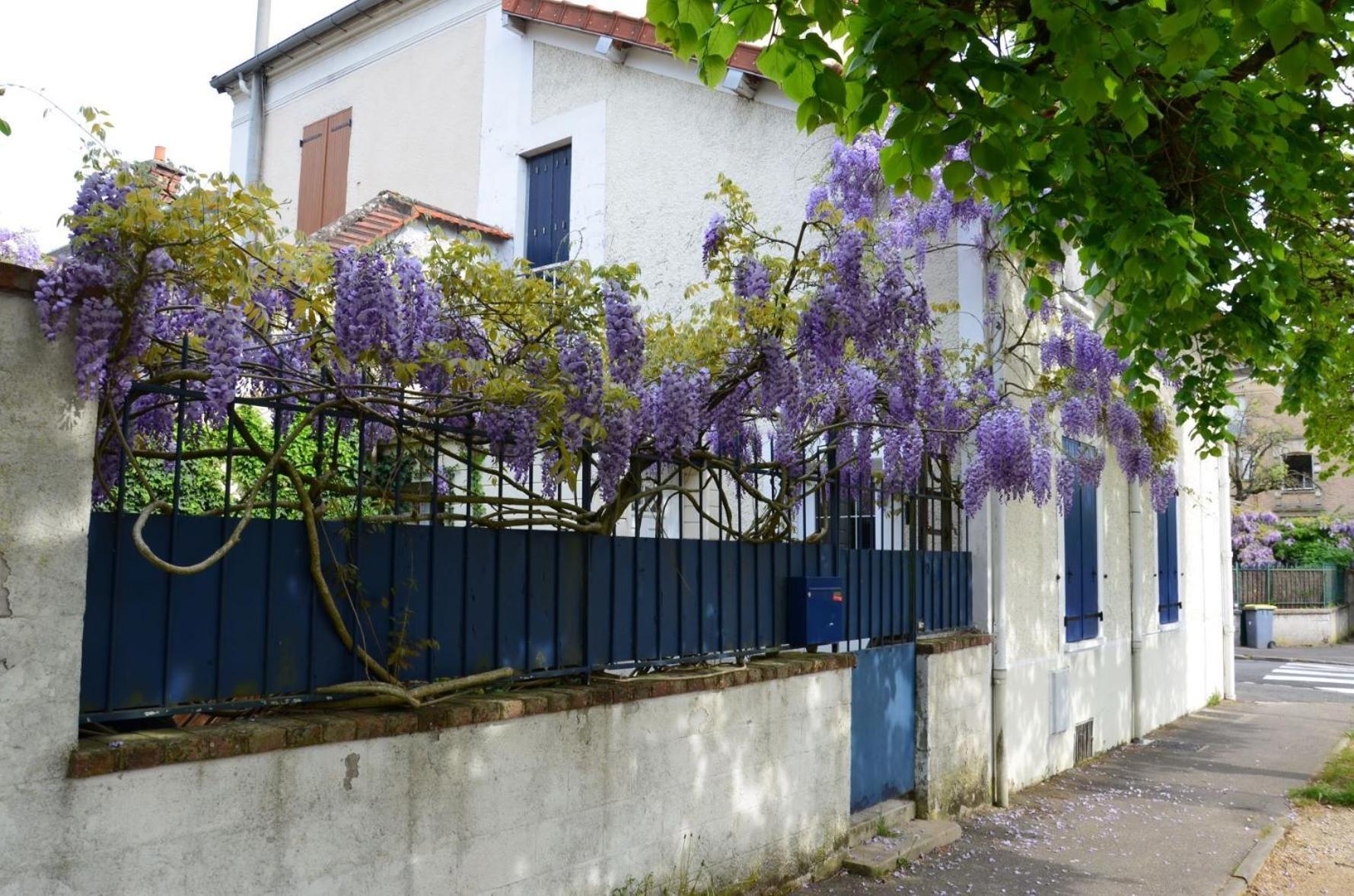 Bleautiful "Eugenie" Charmante Maison De Ville Fontainebleau Exterior foto